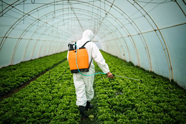 Best Pest Inspection Near Me  in Hicksville, OH