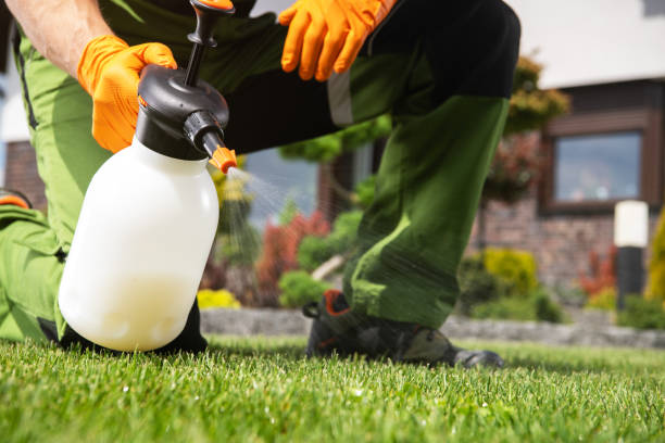 Best Exterminator Services  in Hicksville, OH