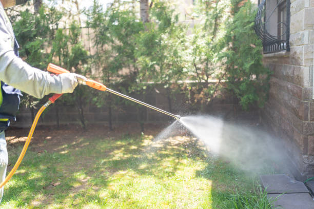 Best Pest Prevention Services  in Hicksville, OH