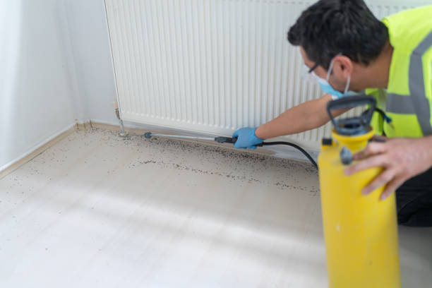 Best Pest Control for Businesses  in Hicksville, OH